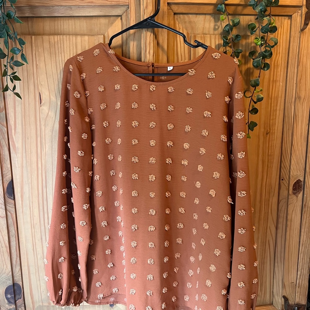 Burnt Orange Long Sleeve Blouse with Textured Pattern